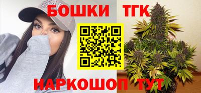СК Дубна