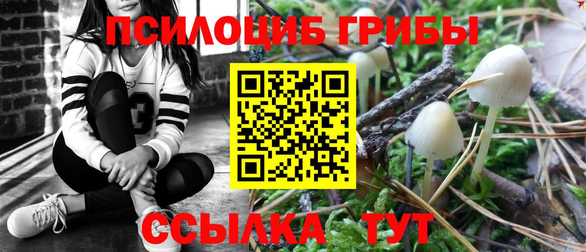 Псилоцибиновые грибы мицелий Минусинск