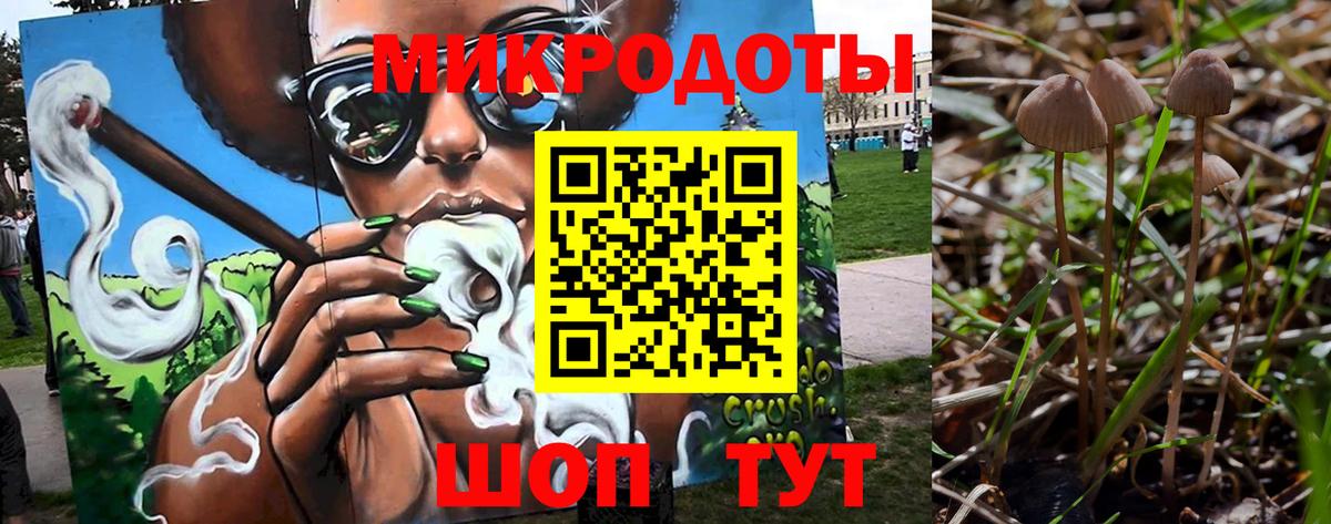Псилоцибиновые грибы Cubensis  Псилоцибиновые грибы Psilocybe  Минусинск  Вход с VPN 