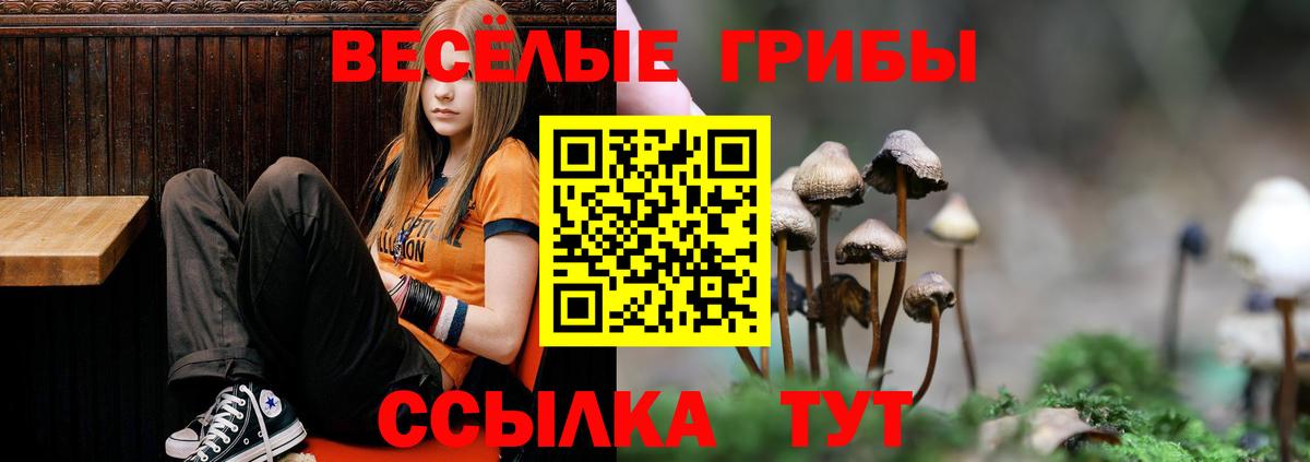 Псилоцибиновые грибы Минусинск